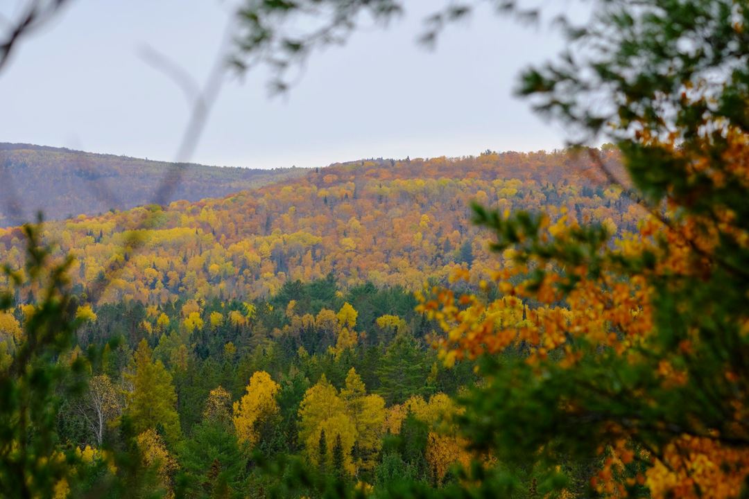 Paysage d'automne à Saint-Côme